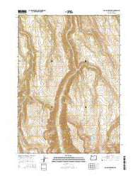Big Pasture Creek Oregon Current topographic map, 1:24000 scale, 7.5 X 7.5 Minute, Year 2014