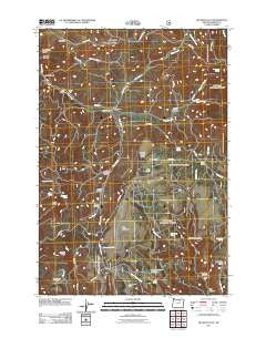 Big Rock Flat Oregon Historical topographic map, 1:24000 scale, 7.5 X 7.5 Minute, Year 2011