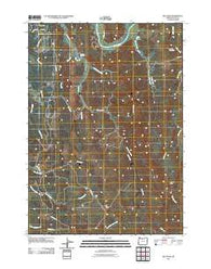 Bill Peak Oregon Historical topographic map, 1:24000 scale, 7.5 X 7.5 Minute, Year 2011
