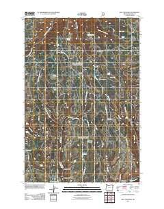 Billy Meadows Oregon Historical topographic map, 1:24000 scale, 7.5 X 7.5 Minute, Year 2011