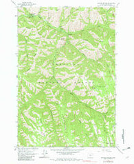 Bingham Springs Oregon Historical topographic map, 1:24000 scale, 7.5 X 7.5 Minute, Year 1963