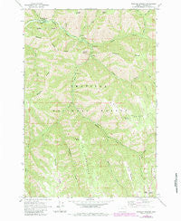 Bingham Springs Oregon Historical topographic map, 1:24000 scale, 7.5 X 7.5 Minute, Year 1963