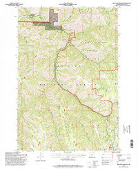 Bingham Springs Oregon Historical topographic map, 1:24000 scale, 7.5 X 7.5 Minute, Year 1995