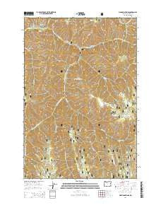 Bingham Springs Oregon Current topographic map, 1:24000 scale, 7.5 X 7.5 Minute, Year 2014