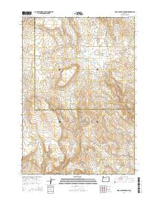 Birch Creek Meadow Oregon Current topographic map, 1:24000 scale, 7.5 X 7.5 Minute, Year 2014
