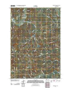 Birkenfeld Oregon Historical topographic map, 1:24000 scale, 7.5 X 7.5 Minute, Year 2011