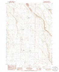 Biscuit Point Oregon Historical topographic map, 1:24000 scale, 7.5 X 7.5 Minute, Year 1985