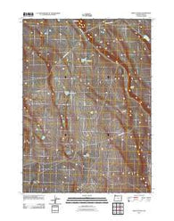 Biscuit Point Oregon Historical topographic map, 1:24000 scale, 7.5 X 7.5 Minute, Year 2011