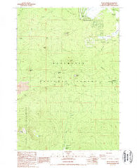 Black Crater Oregon Historical topographic map, 1:24000 scale, 7.5 X 7.5 Minute, Year 1988