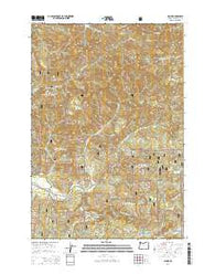 Blaine Oregon Current topographic map, 1:24000 scale, 7.5 X 7.5 Minute, Year 2014