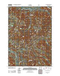 Blair Lake Oregon Historical topographic map, 1:24000 scale, 7.5 X 7.5 Minute, Year 2011