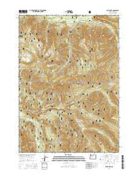 Blair Lake Oregon Current topographic map, 1:24000 scale, 7.5 X 7.5 Minute, Year 2014