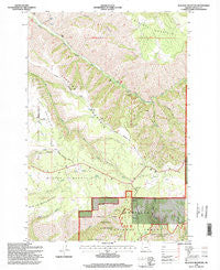 Blalock Mountain Oregon Historical topographic map, 1:24000 scale, 7.5 X 7.5 Minute, Year 1995