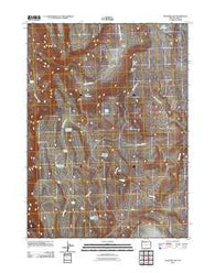 Blizzard Gap Oregon Historical topographic map, 1:24000 scale, 7.5 X 7.5 Minute, Year 2011