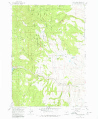 Blue Canyon Oregon Historical topographic map, 1:24000 scale, 7.5 X 7.5 Minute, Year 1967