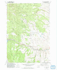 Blue Canyon Oregon Historical topographic map, 1:24000 scale, 7.5 X 7.5 Minute, Year 1993