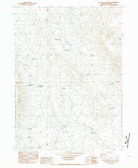 Blue Mountain Basin Oregon Historical topographic map, 1:24000 scale, 7.5 X 7.5 Minute, Year 1982