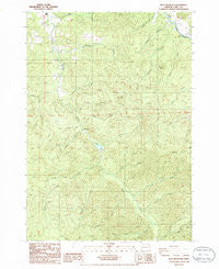 Blue Mountain Oregon Historical topographic map, 1:24000 scale, 7.5 X 7.5 Minute, Year 1986
