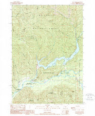 Blue River Oregon Historical topographic map, 1:24000 scale, 7.5 X 7.5 Minute, Year 1989