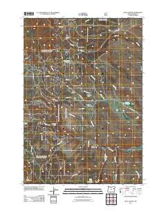 Blue Canyon Oregon Historical topographic map, 1:24000 scale, 7.5 X 7.5 Minute, Year 2011