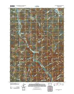 Blue Mountain Oregon Historical topographic map, 1:24000 scale, 7.5 X 7.5 Minute, Year 2011