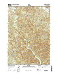Blue Mountain Oregon Current topographic map, 1:24000 scale, 7.5 X 7.5 Minute, Year 2014