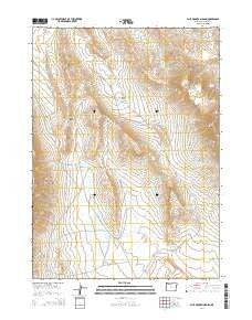 Blue Mountain Basin Oregon Current topographic map, 1:24000 scale, 7.5 X 7.5 Minute, Year 2014