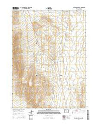 Blue Mountain Pass Oregon Current topographic map, 1:24000 scale, 7.5 X 7.5 Minute, Year 2014