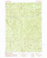 Bone Mountain Oregon Historical topographic map, 1:24000 scale, 7.5 X 7.5 Minute, Year 1990