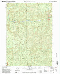 Bone Mountain Oregon Historical topographic map, 1:24000 scale, 7.5 X 7.5 Minute, Year 1998