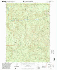 Bone Mountain Oregon Historical topographic map, 1:24000 scale, 7.5 X 7.5 Minute, Year 1998