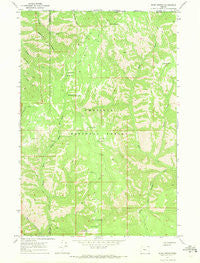 Bone Spring Oregon Historical topographic map, 1:24000 scale, 7.5 X 7.5 Minute, Year 1967