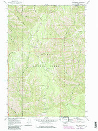 Bone Spring Oregon Historical topographic map, 1:24000 scale, 7.5 X 7.5 Minute, Year 1967