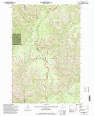 Bone Spring Oregon Historical topographic map, 1:24000 scale, 7.5 X 7.5 Minute, Year 1995