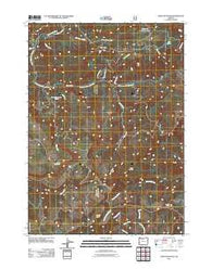 Bone Mountain Oregon Historical topographic map, 1:24000 scale, 7.5 X 7.5 Minute, Year 2011
