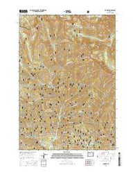 Bourne Oregon Current topographic map, 1:24000 scale, 7.5 X 7.5 Minute, Year 2014