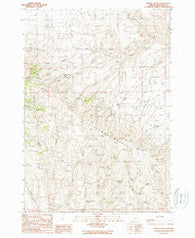 Brady Creek Oregon Historical topographic map, 1:24000 scale, 7.5 X 7.5 Minute, Year 1990