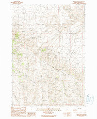 Brady Creek Oregon Historical topographic map, 1:24000 scale, 7.5 X 7.5 Minute, Year 1990