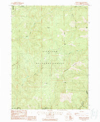 Brandy Peak Oregon Historical topographic map, 1:24000 scale, 7.5 X 7.5 Minute, Year 1989