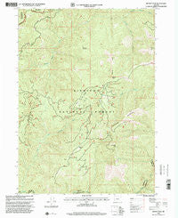 Brandy Peak Oregon Historical topographic map, 1:24000 scale, 7.5 X 7.5 Minute, Year 1998