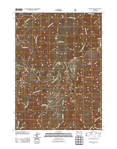 Brandy Peak Oregon Historical topographic map, 1:24000 scale, 7.5 X 7.5 Minute, Year 2011