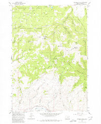 Brannan Gulch Oregon Historical topographic map, 1:24000 scale, 7.5 X 7.5 Minute, Year 1967