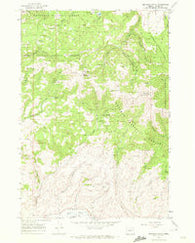 Brannan Gulch Oregon Historical topographic map, 1:24000 scale, 7.5 X 7.5 Minute, Year 1967