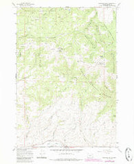 Brannan Gulch Oregon Historical topographic map, 1:24000 scale, 7.5 X 7.5 Minute, Year 1967