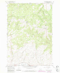 Brannan Gulch Oregon Historical topographic map, 1:24000 scale, 7.5 X 7.5 Minute, Year 1967