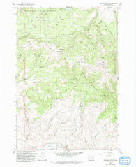 Brannan Gulch Oregon Historical topographic map, 1:24000 scale, 7.5 X 7.5 Minute, Year 1993
