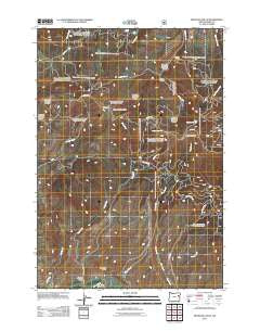 Brannan Gulch Oregon Historical topographic map, 1:24000 scale, 7.5 X 7.5 Minute, Year 2011