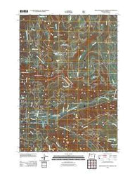 Breitenbush Hot Springs Oregon Historical topographic map, 1:24000 scale, 7.5 X 7.5 Minute, Year 2011