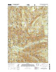 Breitenbush Hot Springs Oregon Current topographic map, 1:24000 scale, 7.5 X 7.5 Minute, Year 2014