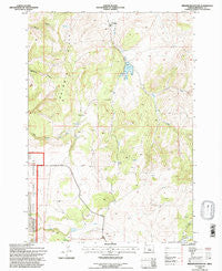 Brewer Reservoir Oregon Historical topographic map, 1:24000 scale, 7.5 X 7.5 Minute, Year 1992